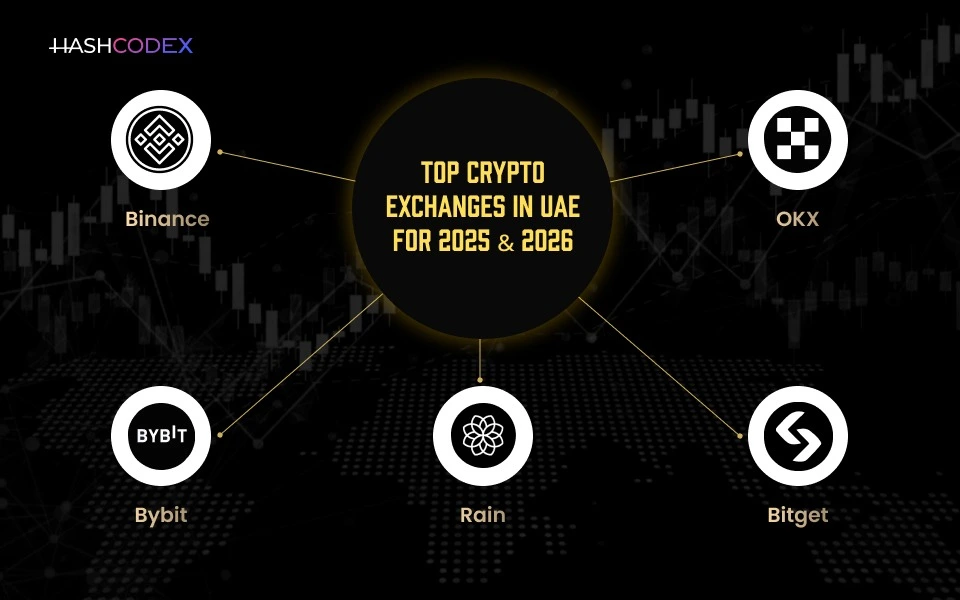 best crypto exchanges in uae 2026 updated list