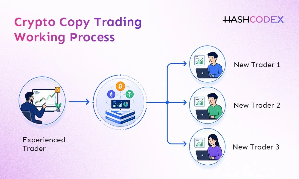 Crypto Copy Trading Platform Working Process